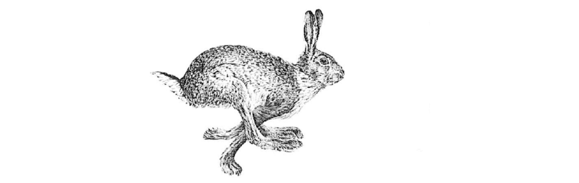 Logo chasse